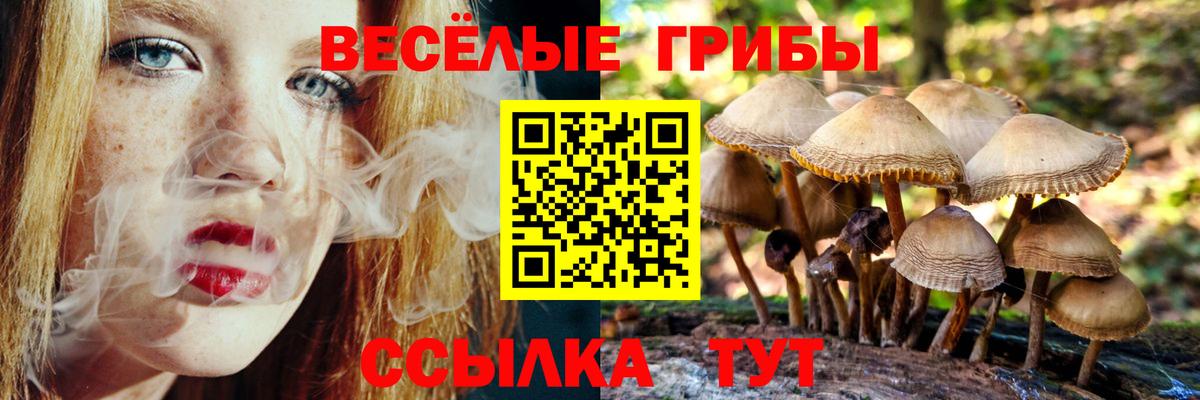 Меф Приморско-Ахтарск