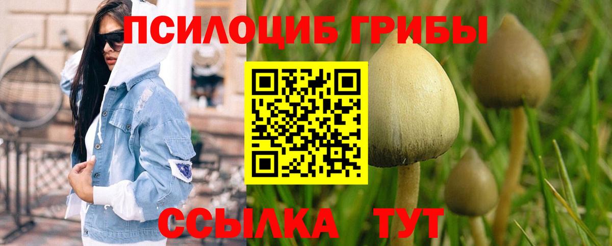 Галлюциногенные грибы Cubensis  Вход с VPN  Галлюциногенные грибы Psilocybe  Приморско-Ахтарск 